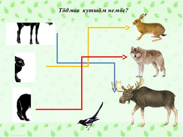 Интерактивная игра по обучению коми языку. Тема "Лесные звери"