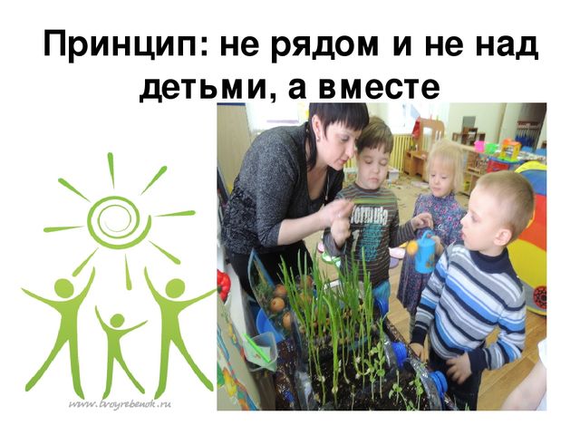 Презентация: Формирование экологической культуры у детей ЗПР через экспериментально – поисковую деятельность