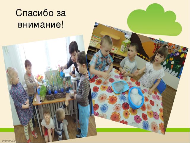 Презентация: Формирование экологической культуры у детей ЗПР через экспериментально – поисковую деятельность
