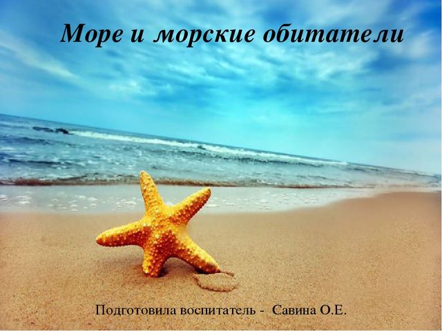 Презентация по теме "Море и морские обитатели"