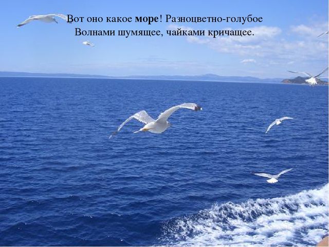Презентация по теме "Море и морские обитатели"