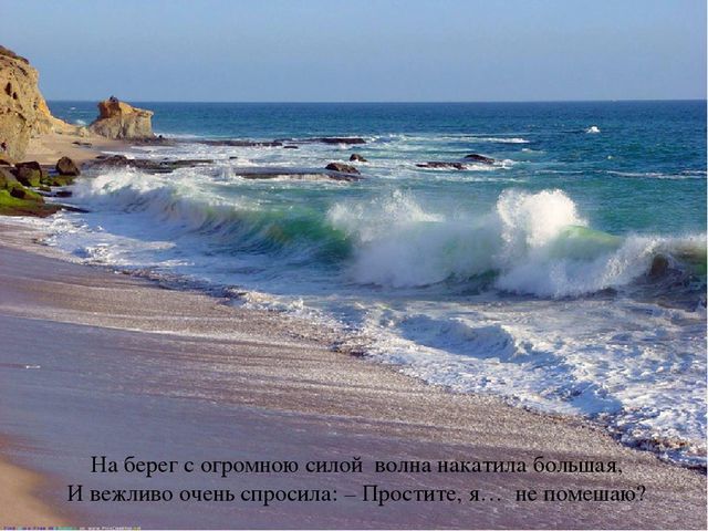 Презентация по теме "Море и морские обитатели"