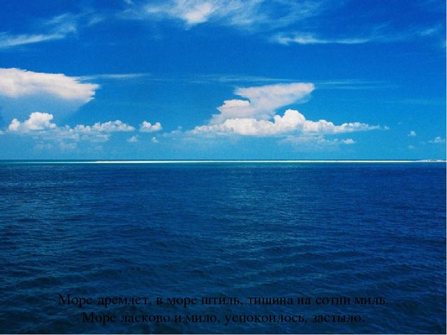 Презентация по теме "Море и морские обитатели"