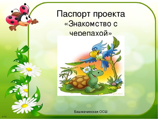 Паспорт проекта «Знакомство с черепахой»