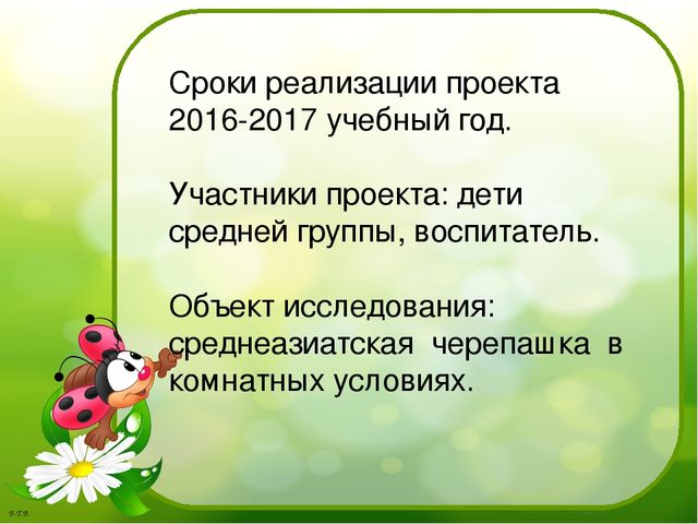 Паспорт проекта «Знакомство с черепахой»