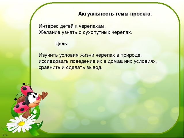 Паспорт проекта «Знакомство с черепахой»