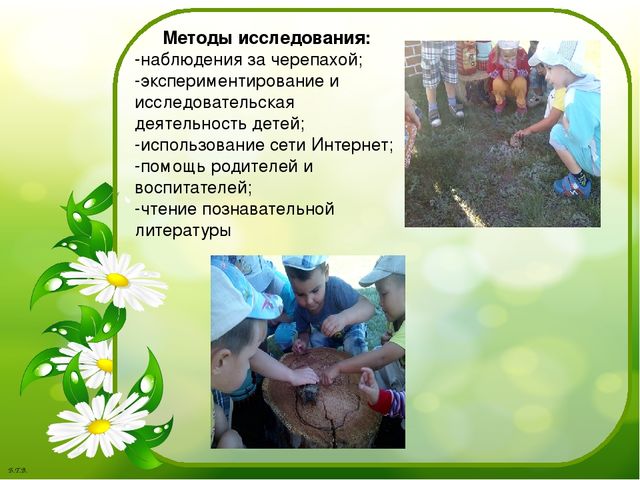 Паспорт проекта «Знакомство с черепахой»