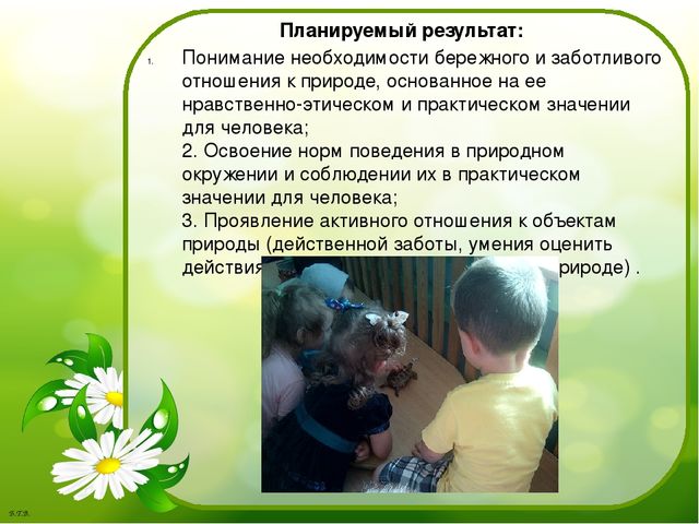 Паспорт проекта «Знакомство с черепахой»