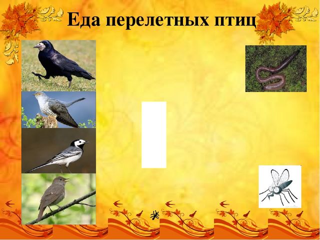 Презентация перелетные птицы старшая группа