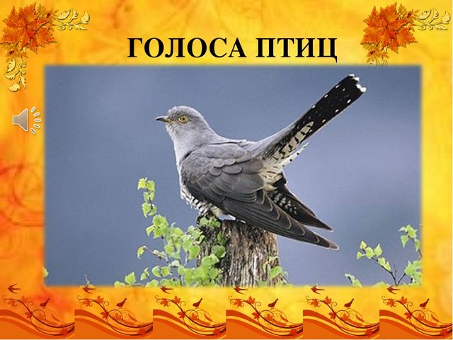 Презентация по лексической теме "Перелетные птицы" старшая группа