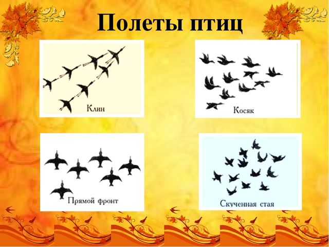 Презентация по лексической теме "Перелетные птицы" старшая группа
