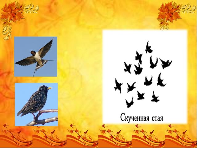 Презентация по лексической теме "Перелетные птицы" старшая группа