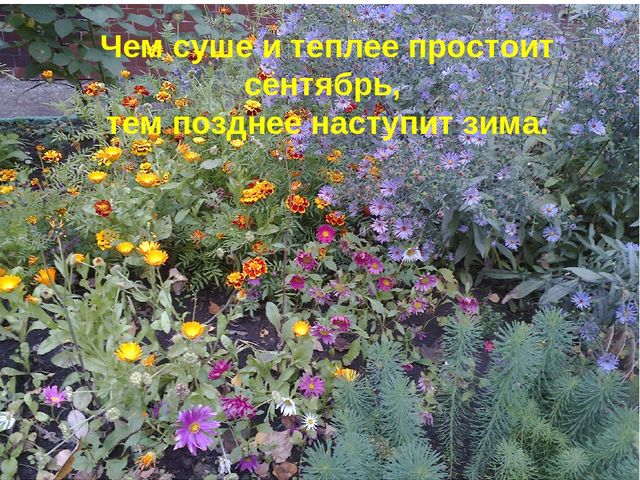 Презентация "Осень за окном"