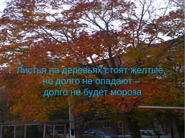 Презентация "Осень за окном"