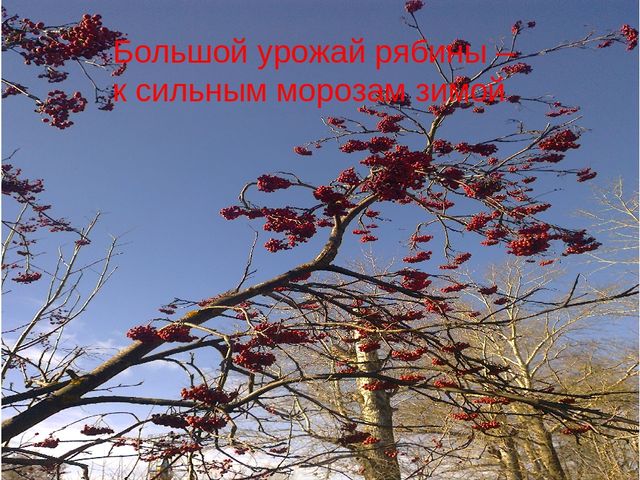 Презентация "Осень за окном"