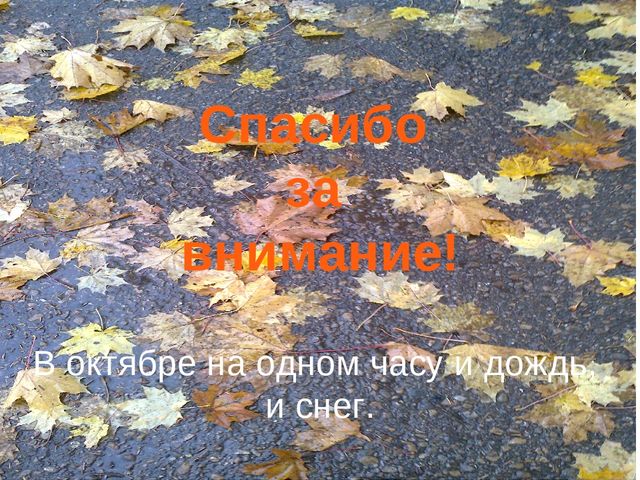 Презентация "Осень за окном"