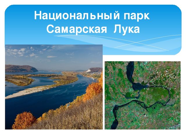Презентация "Жигули-зелёная жечужина Волги"