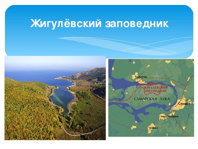 Презентация "Жигули-зелёная жечужина Волги"