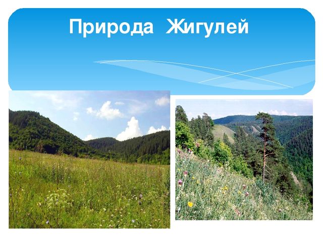 Презентация "Жигули-зелёная жечужина Волги"
