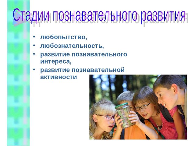 ПОЗНАВАТЕЛЬНОЕ РАЗВИТИЕ ДЕТЕЙ ДОШКОЛЬНОГО ВОЗРАСТА В КОНТЕКСТЕ ВВЕДЕНИЯ ФГОС ДО