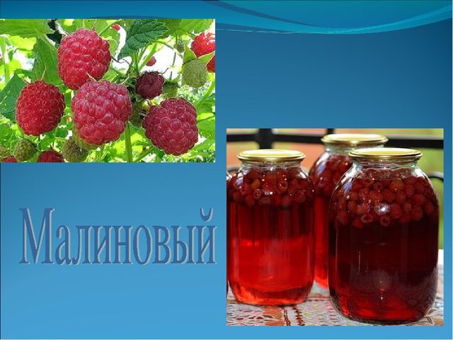 Презентация на тему "Все профессии нужны, все профессии важны".