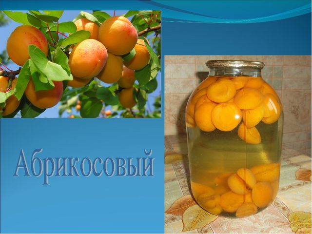 Презентация на тему "Все профессии нужны, все профессии важны".