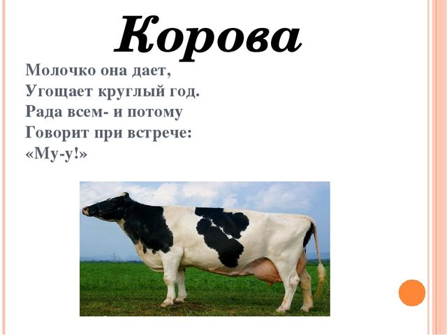 Презентация для дошкольников "Домашние друзья"