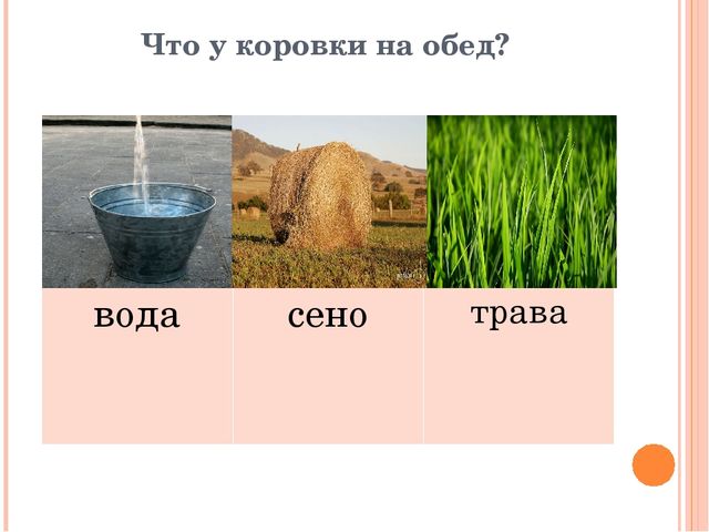 Презентация для дошкольников "Домашние друзья"