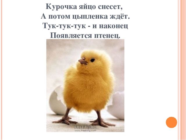Презентация для дошкольников "Домашние друзья"