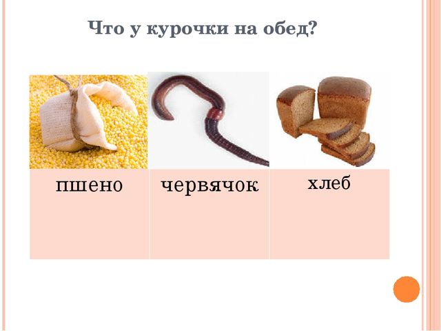 Презентация для дошкольников "Домашние друзья"