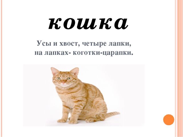 Презентация для дошкольников "Домашние друзья"