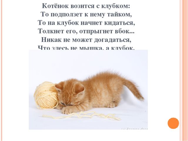 Презентация для дошкольников "Домашние друзья"