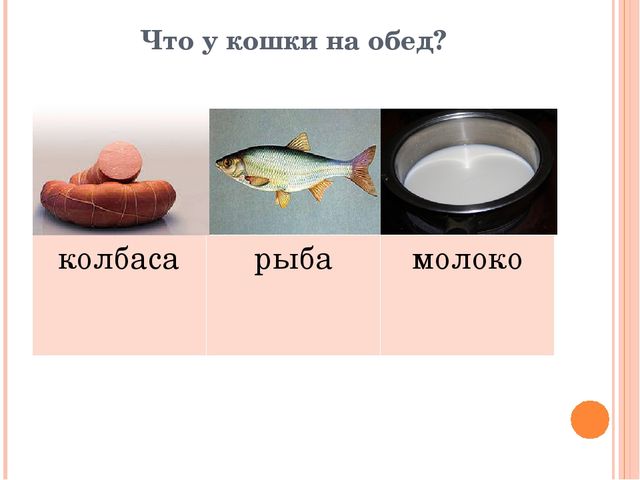 Презентация для дошкольников "Домашние друзья"