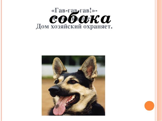 Презентация для дошкольников "Домашние друзья"