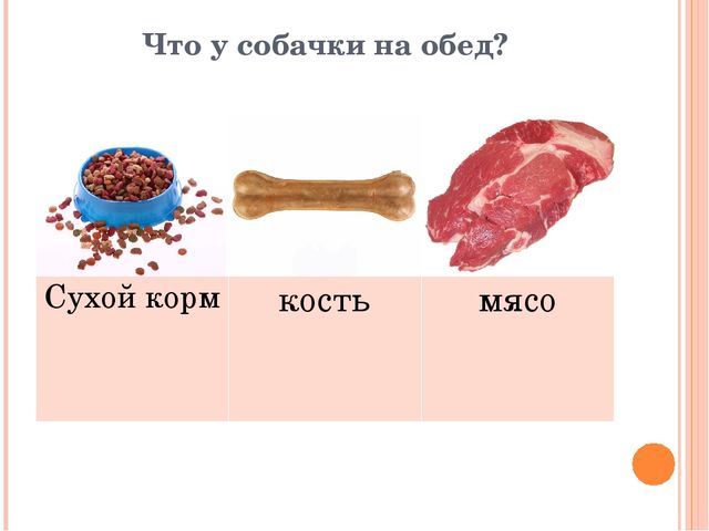 Презентация для дошкольников "Домашние друзья"