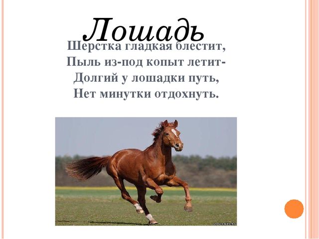Презентация для дошкольников "Домашние друзья"