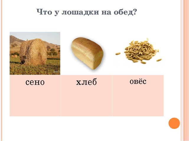 Презентация для дошкольников "Домашние друзья"