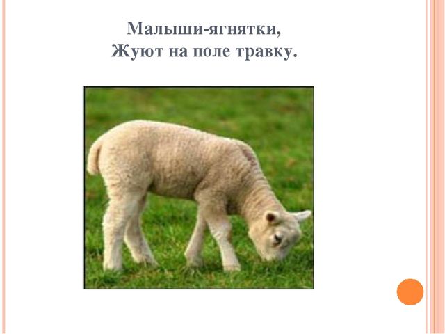 Презентация для дошкольников "Домашние друзья"