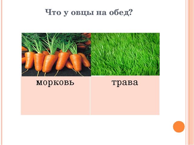Презентация для дошкольников "Домашние друзья"