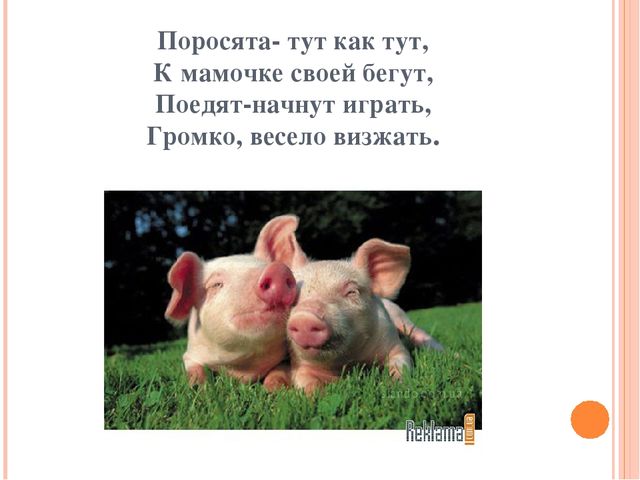 Презентация для дошкольников "Домашние друзья"