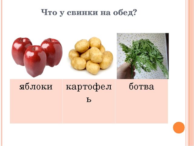 Презентация для дошкольников "Домашние друзья"