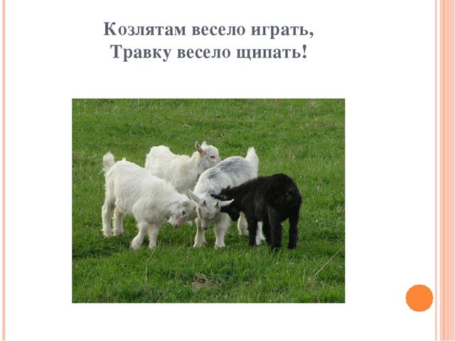 Презентация для дошкольников "Домашние друзья"
