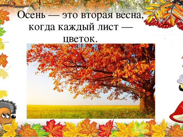 Презентация по познавательному развитию на тему "Ах Какая осень"