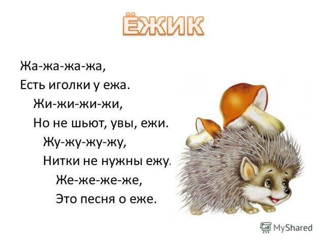 Презентация на тему " Сердитый недотрога"