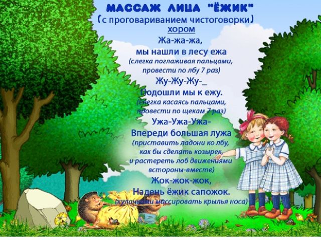 Презентация на тему " Сердитый недотрога"