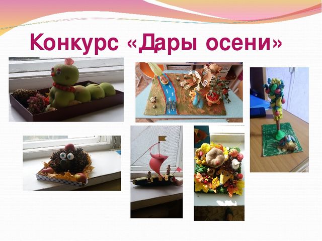 Работа воспитателя ДОУ по организации взаимодействия с семьей