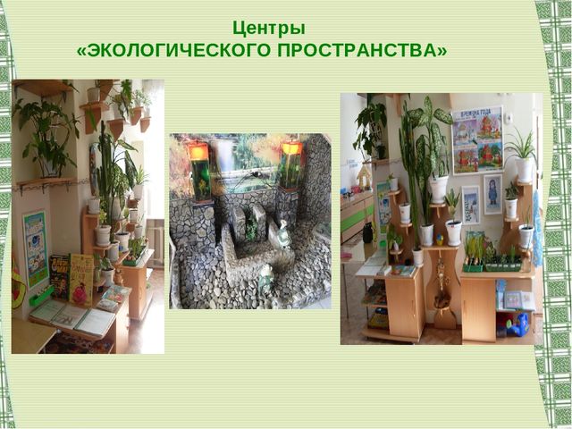 Воспитание экологической культуры как условие валеологического развития детей дошкольного возраста