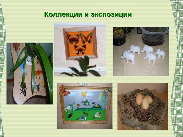 Воспитание экологической культуры как условие валеологического развития детей дошкольного возраста