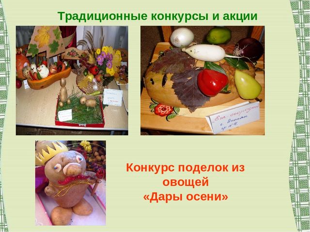 Воспитание экологической культуры как условие валеологического развития детей дошкольного возраста
