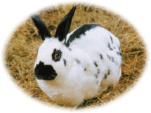 Picture 24